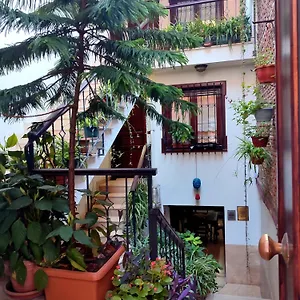 Sphendone Otel İstanbul